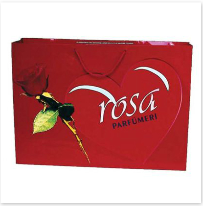  Karton Poşetler